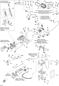 Electrical System