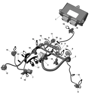 ROTAX - Engine Harness And Electronic Module