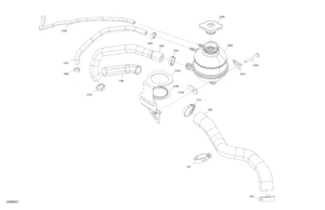 Engine - Cooling