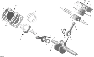 Cylinder And Crankshaft