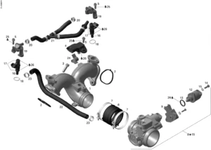 Intake Manifold And Throttle Body