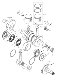 Crankshaft Assy