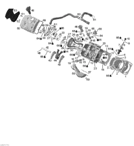 Cylinder and cylinder head