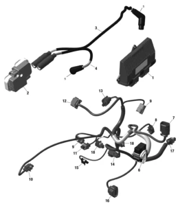 Rotax - Engine Harness And Electronic Module - 339