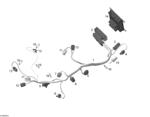 Engine harness and electronic module