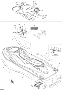 Body, Rear View