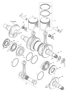 Crankshaft Assy