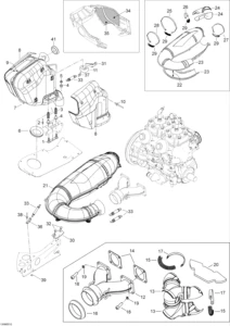 Exhaust System