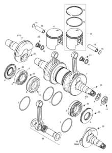 Crankshaft Assy